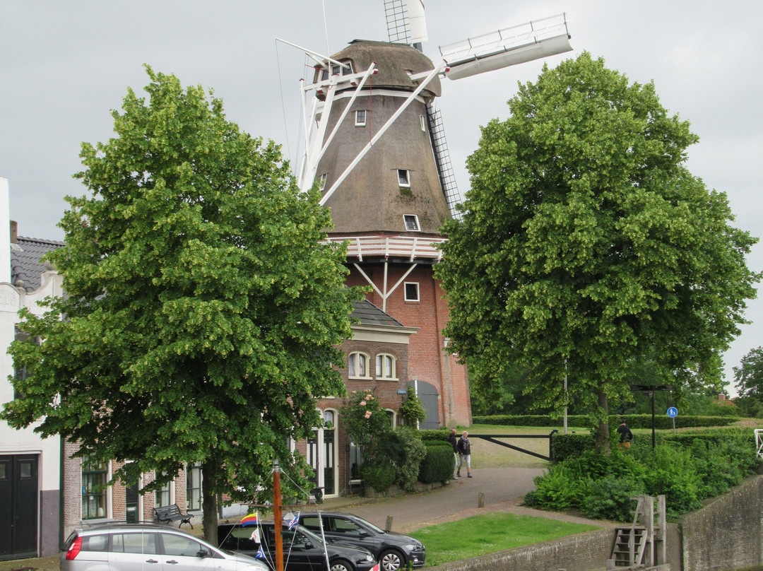 Molen Zeldenrust景点图片