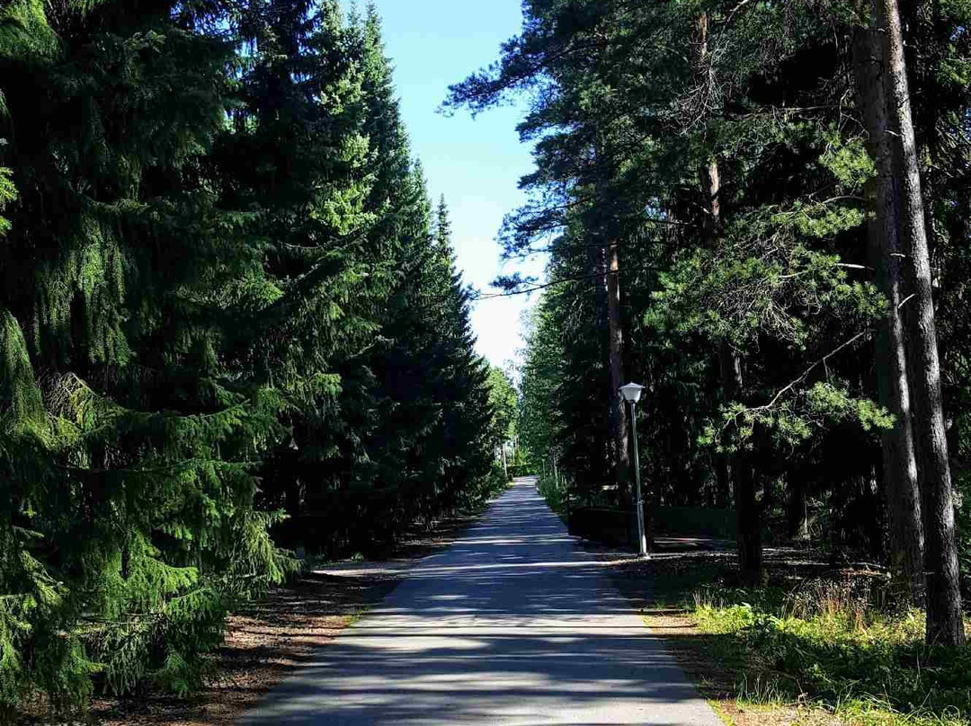 Honkanummi Cemetery景点图片