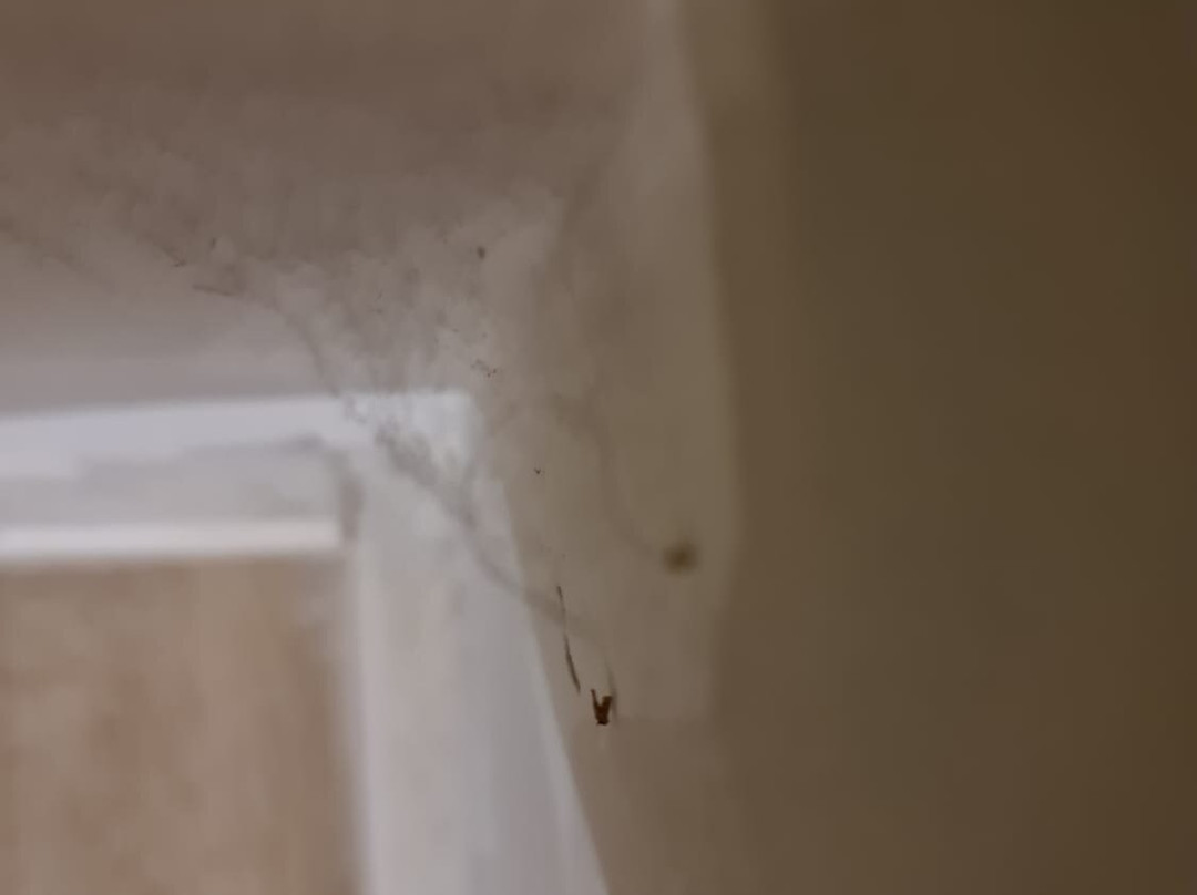 Hostal La Premsa主图