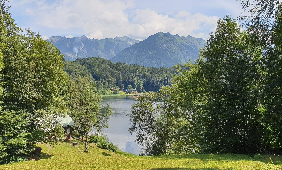 Freibergsee景点图片