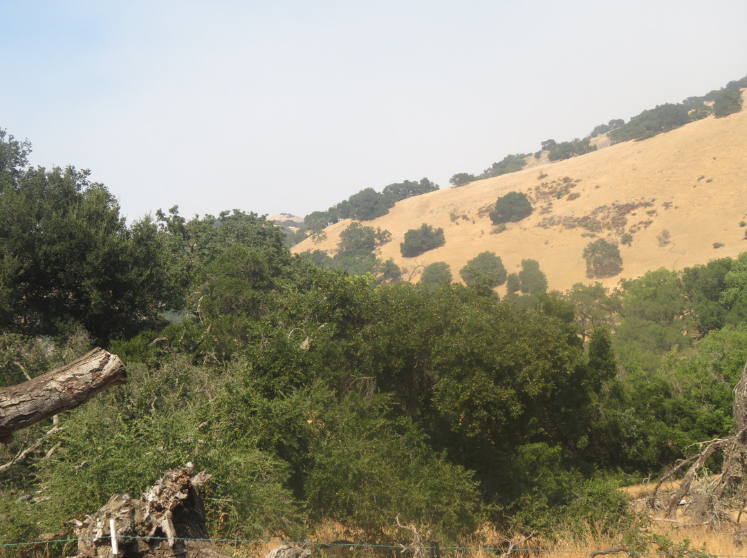 Sunol Regional Wilderness-Sunol必去景点