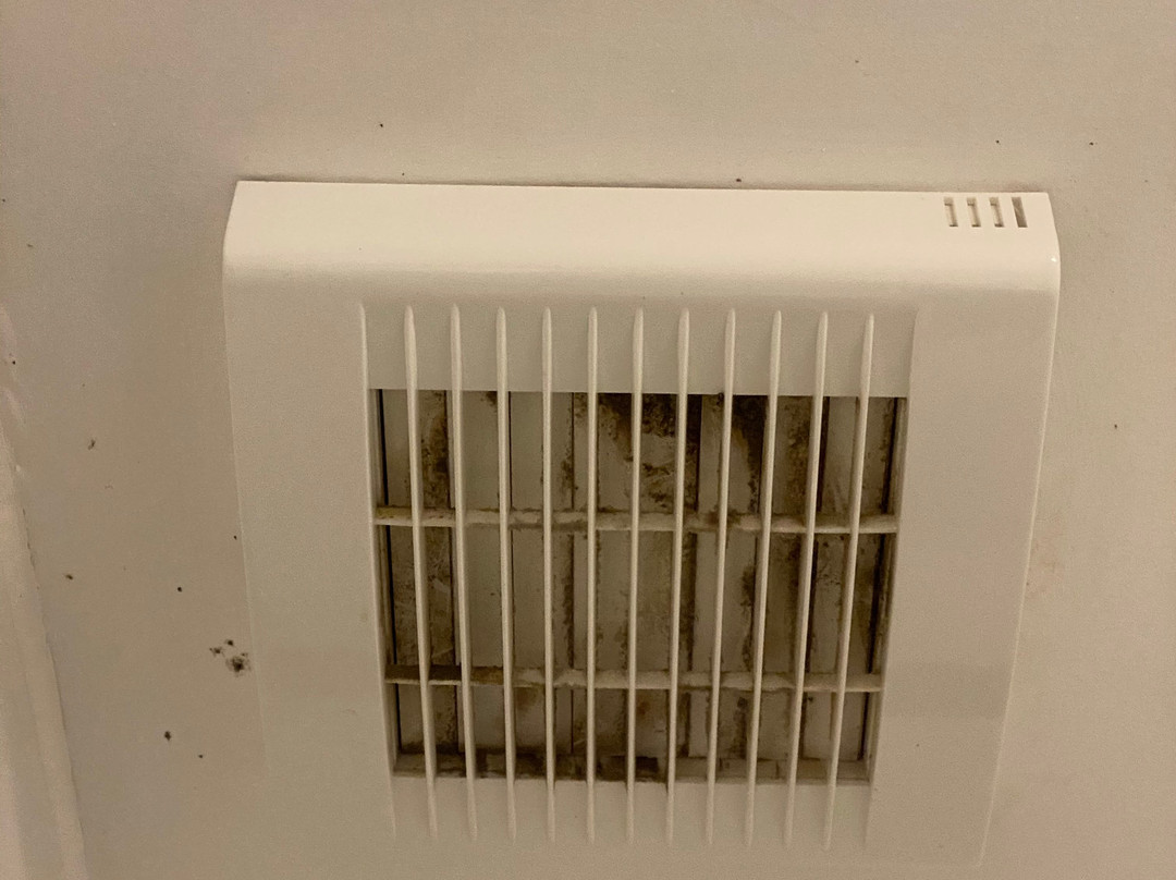 Travelodge Bodmin Roche Hotel主图