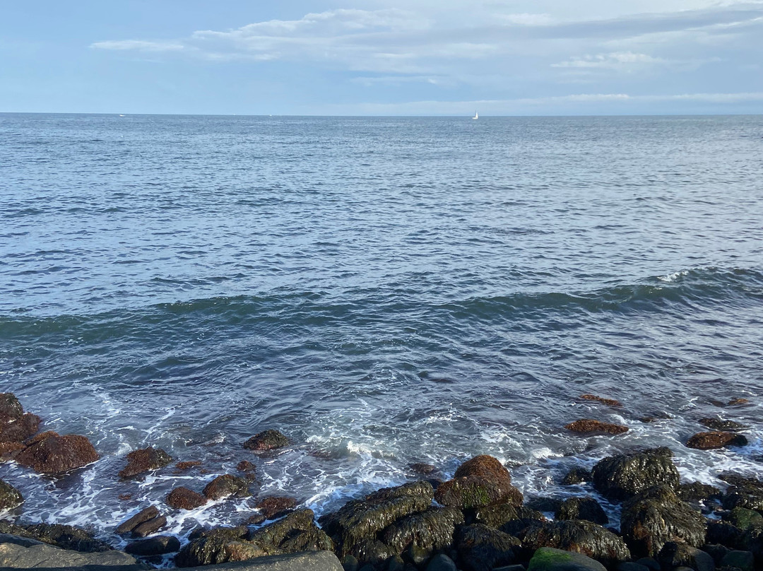 The Shore House主图