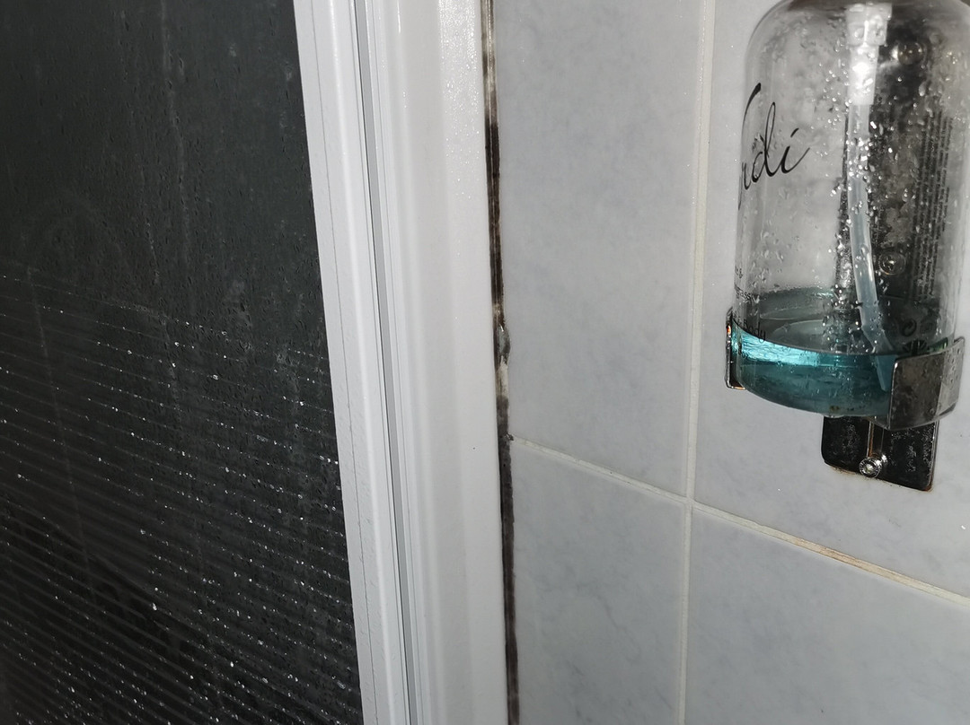 Porth Lodge Hotel主图