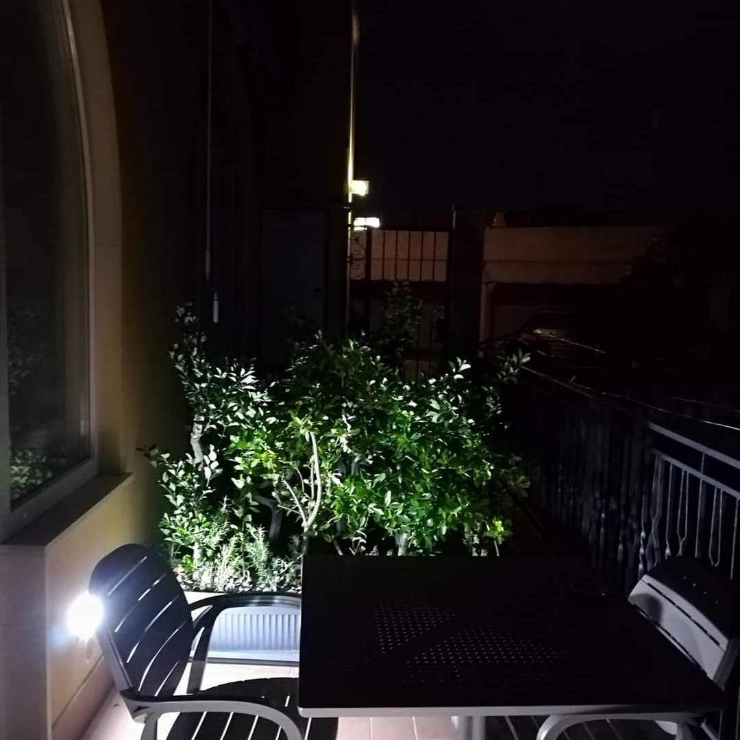 Il Covo delle Civette-portrait