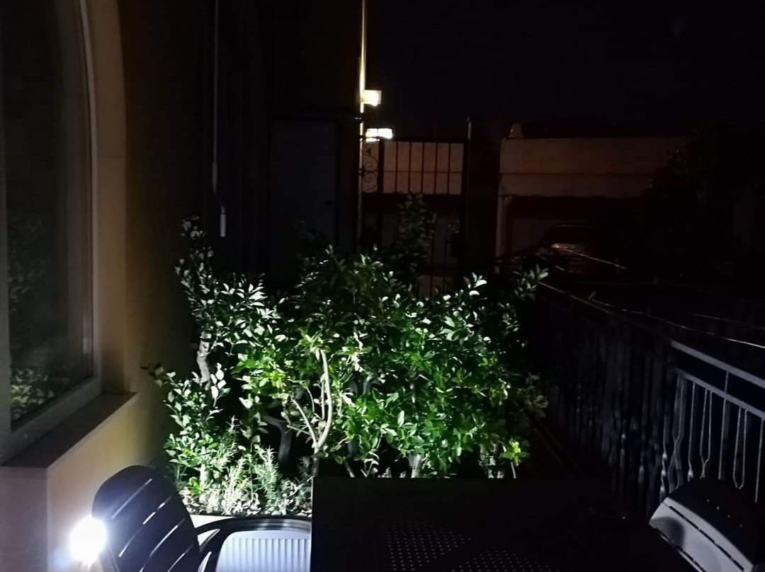 Il Covo delle Civette主图