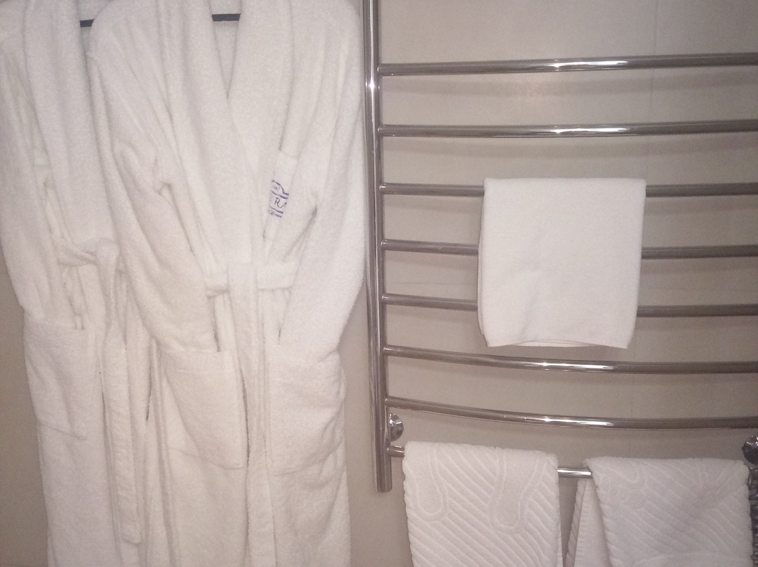 Azimut Hotel Saransk主图