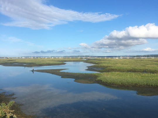 The Wash House Bar-利明顿必去景点
