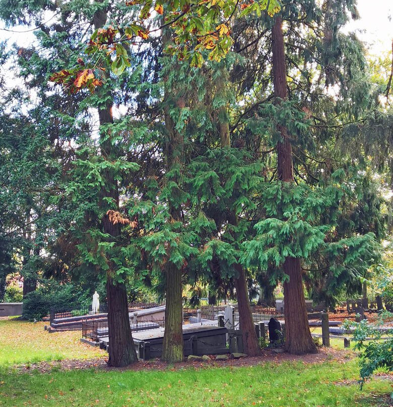 Oude Algemene Begraafplaats Driebergen-Driebergen必去景点