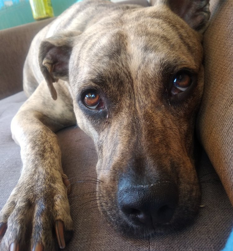 KM 67-奥里韦拉必去景点