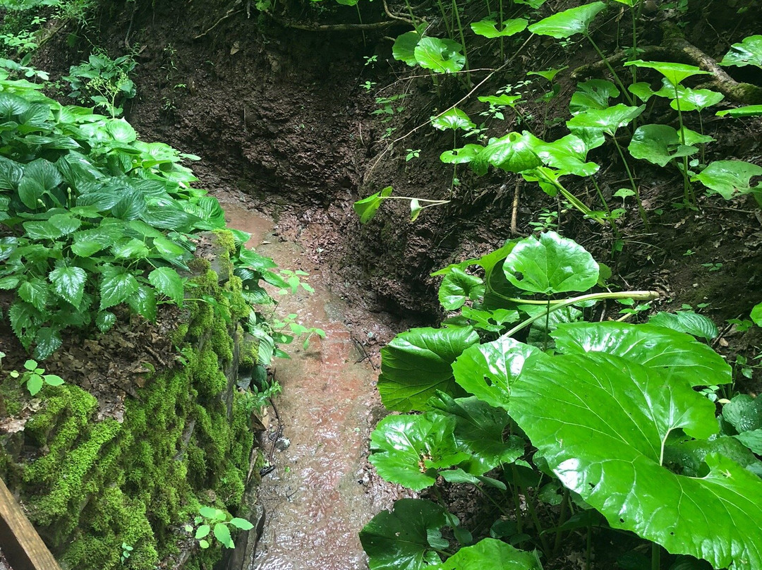 Root Glen-Clinton必去景点