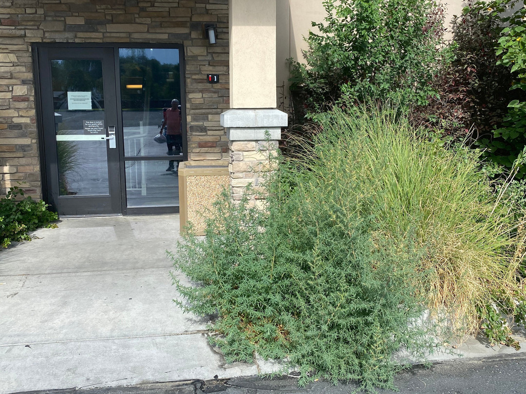 Residence Inn by Marriott Salt Lake City Murray主图