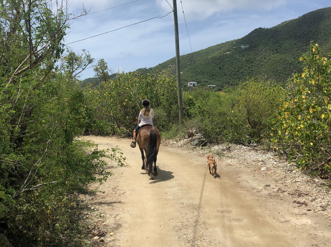 Carolina Corral-Coral Bay必去景点