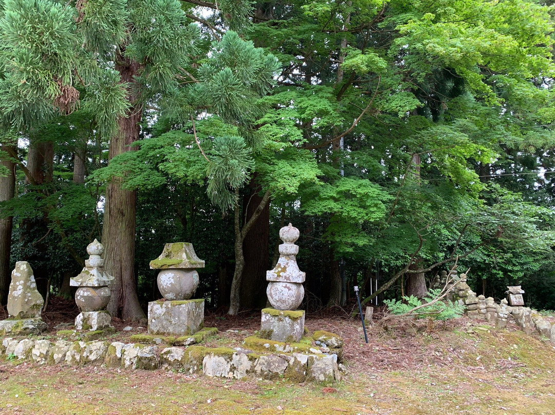 Komyoji Temple-绫部市必去景点