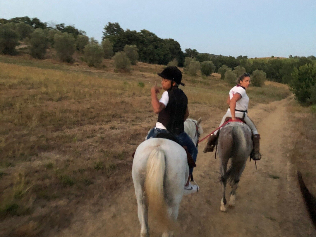 Tuscany Horse Trail景点图片