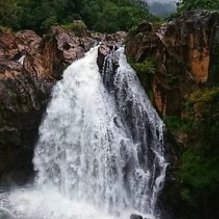 Sri Lanka Explorer-瓦都瓦必去景点