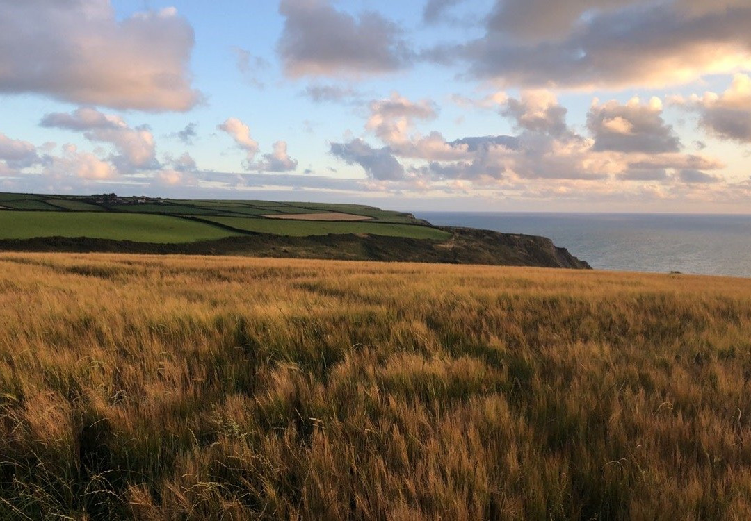 Welcombe Mouth Beach-Welcombe必去景点
