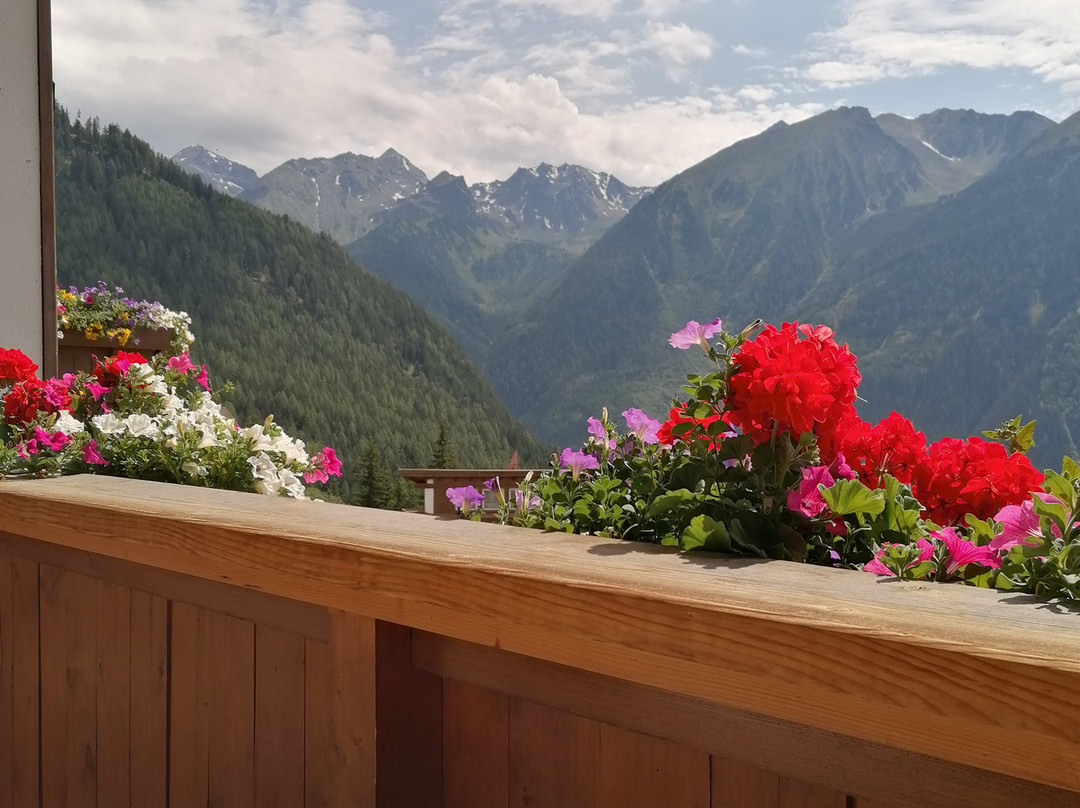 Hotel Venetblick主图