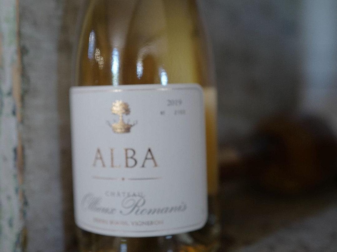 Château Ollieux Romanis景点图片