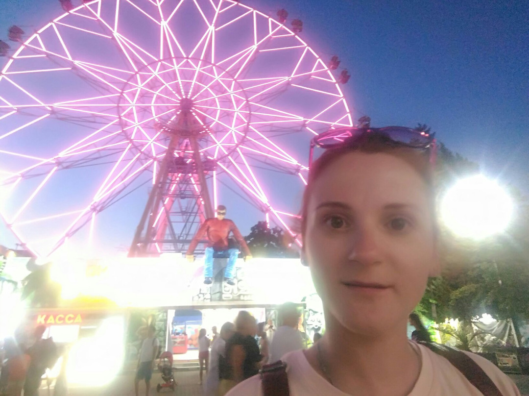 Ferris Wheel景点图片
