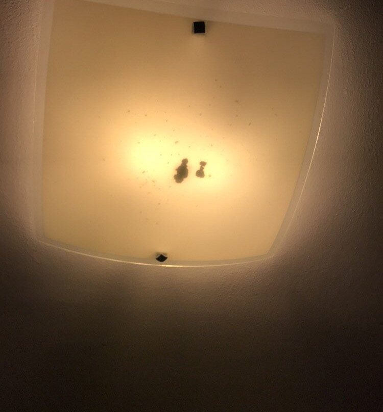 Hotel Villa Volgy主图