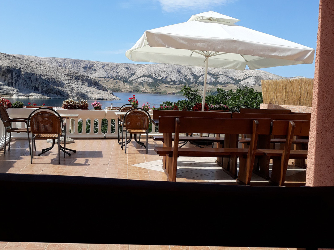 Guest house Forca