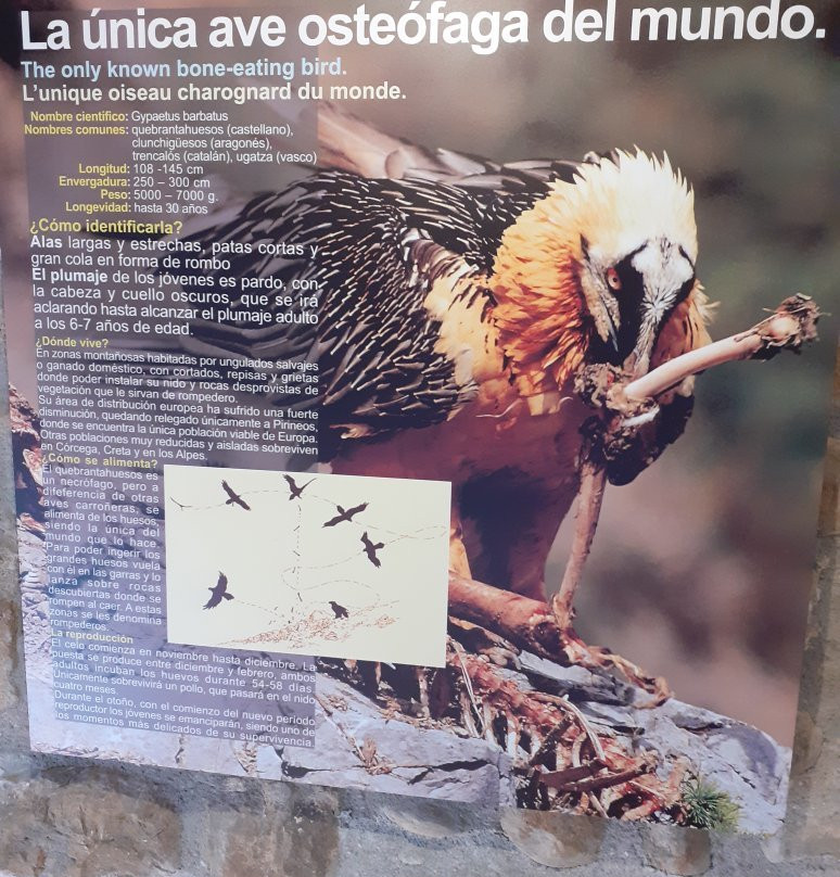 Eco Museo-Centro de Visitantes景点图片