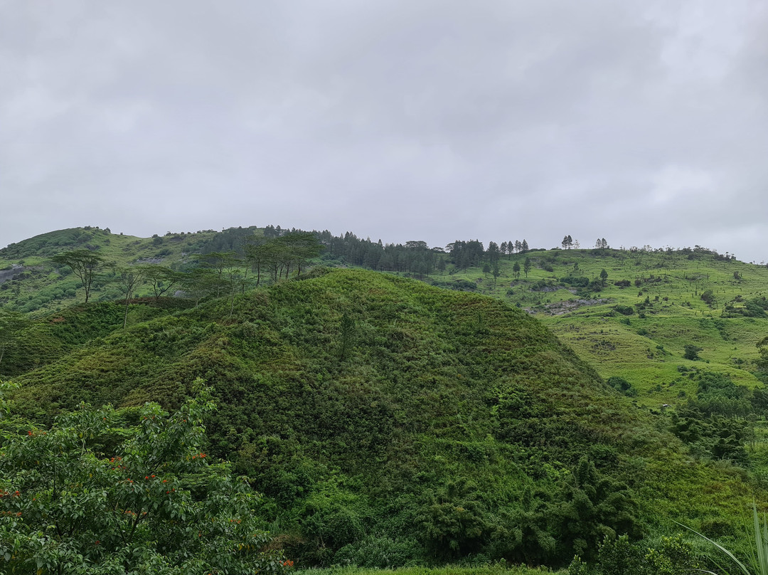 Trinitons Tea View Lake Resort主图