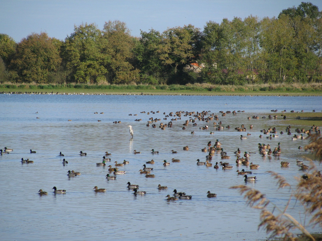 La Cité des Oiseaux景点图片