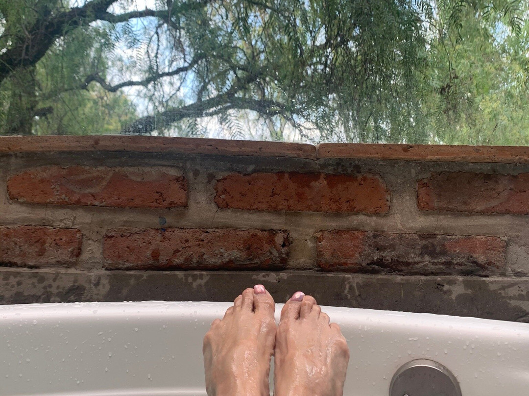 Quinta San Carlos主图