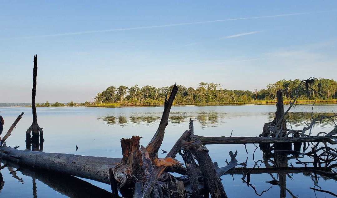 Goose Creek State Park景点图片