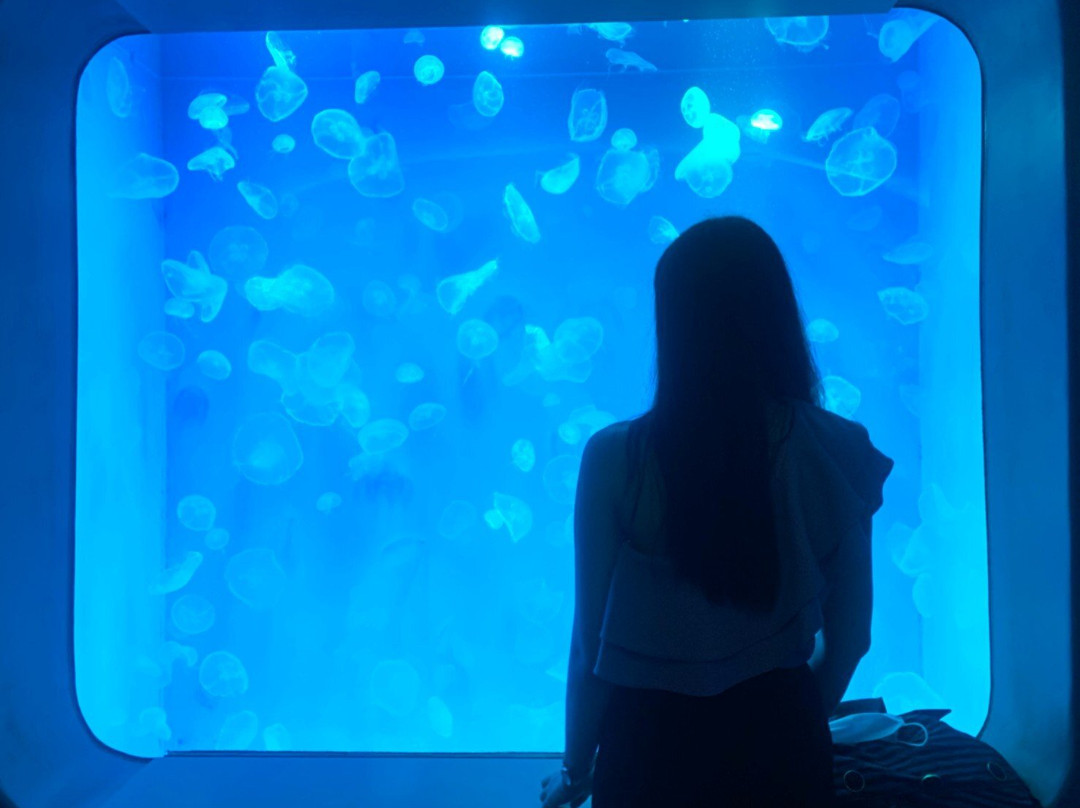 Bangsaen Institute of Marine Science, Burapha University-春武里必去景点