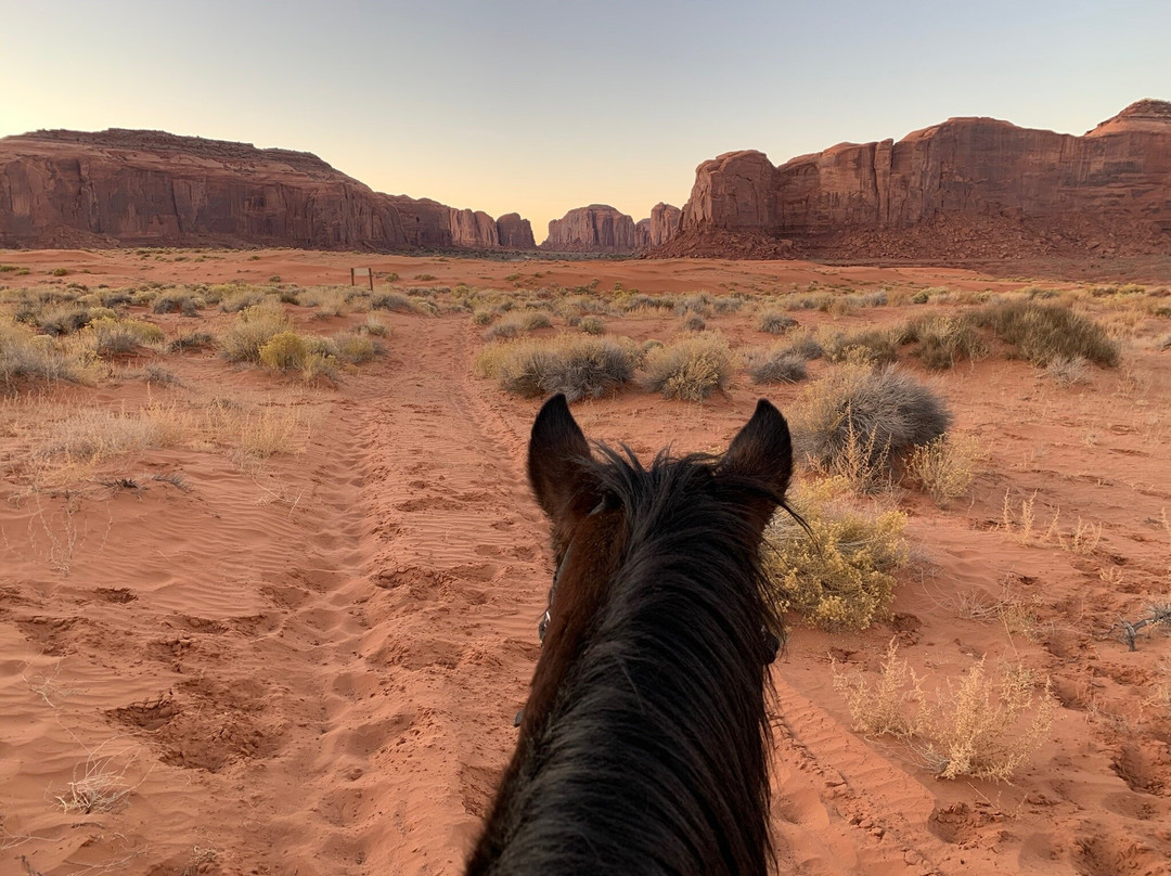 Roy Black's Guided Tours-纪念碑公园必去景点