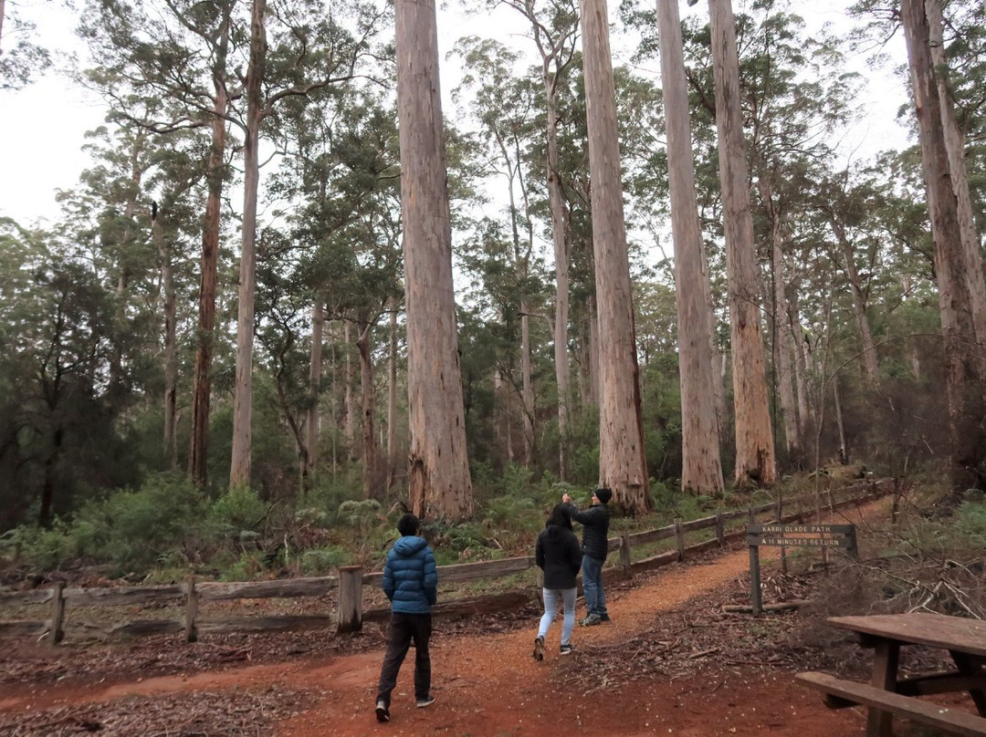 Four Aces-Manjimup必去景点