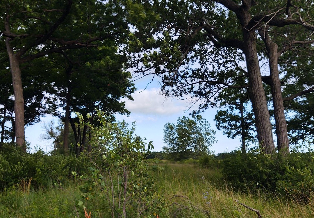 Fort Sheridan Forest Preserve-Lake Forest必去景点