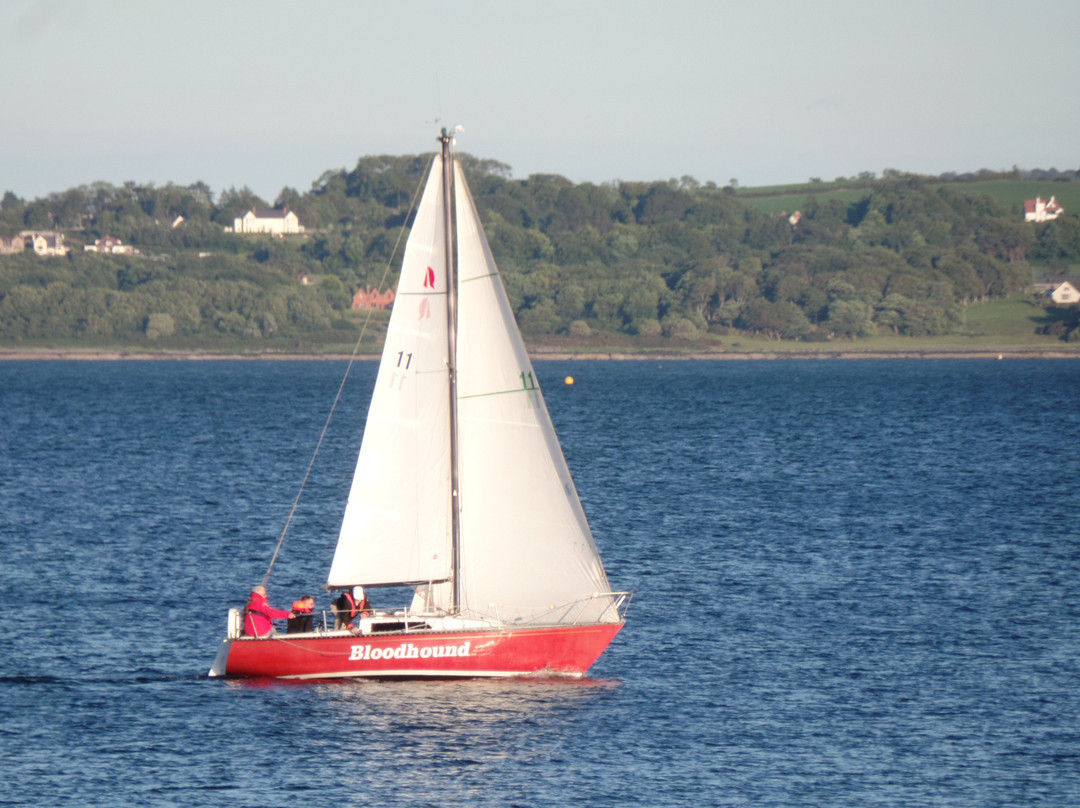 Carrickfergus Marina景点图片