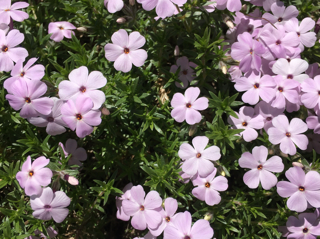 Quartier Severin主图