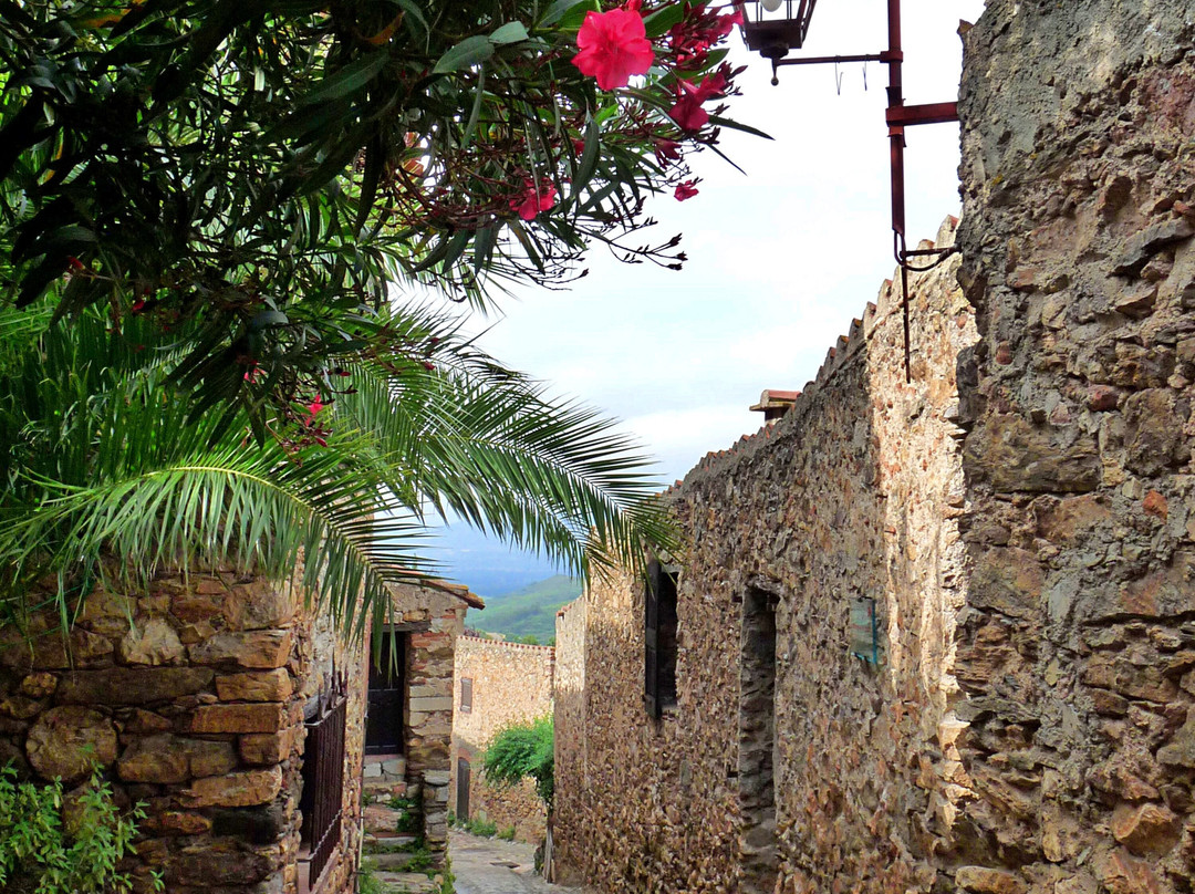 Village Medieval de Castelnou景点图片