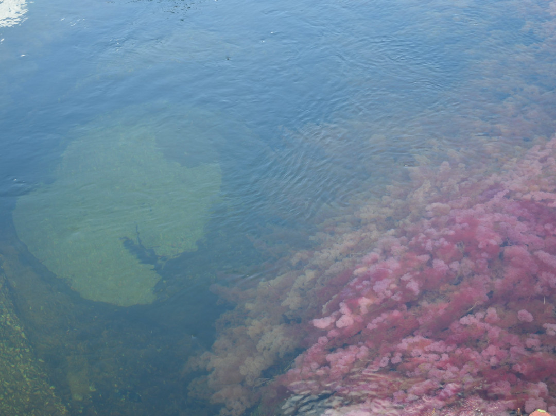 Cristales Tinigua Tour-La Macarena必去景点