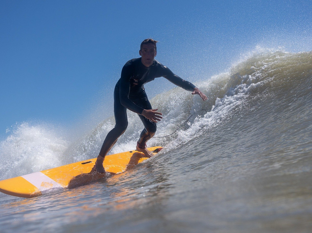 SURFARI景点图片