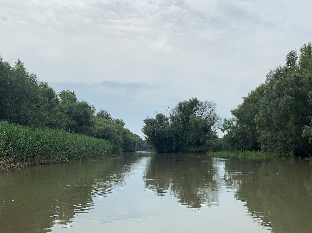 多瑙河三角洲景点图片