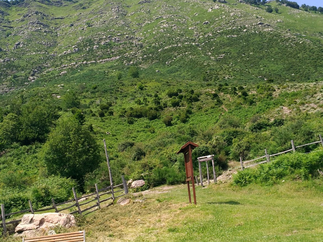 San Colombano Certenoli旅游攻略图片