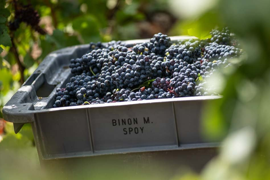 Champagne Binon Coquard-Spoy必去景点