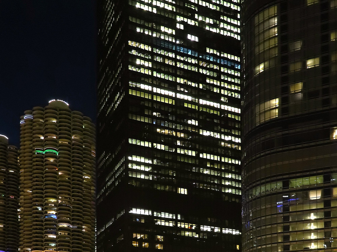Chicago Skyline景点图片