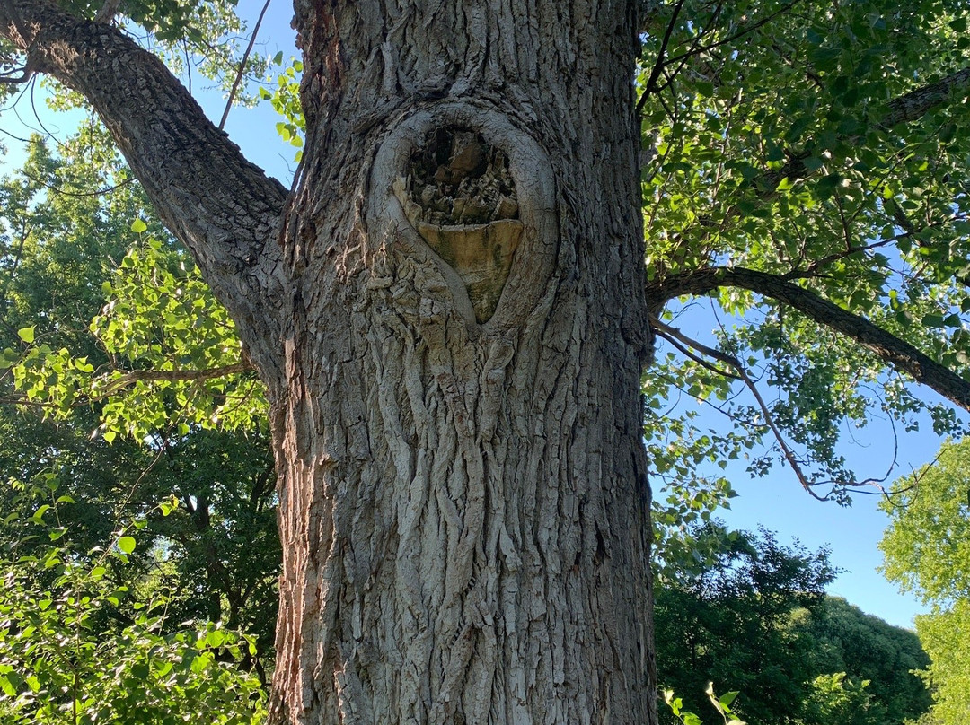 Central Experimental Farm-渥太华必去景点