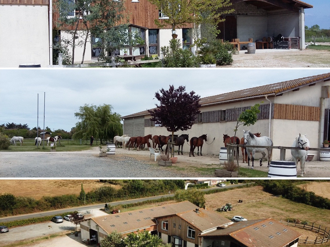 Centre de Tourisme Equestre de St Vivien景点图片