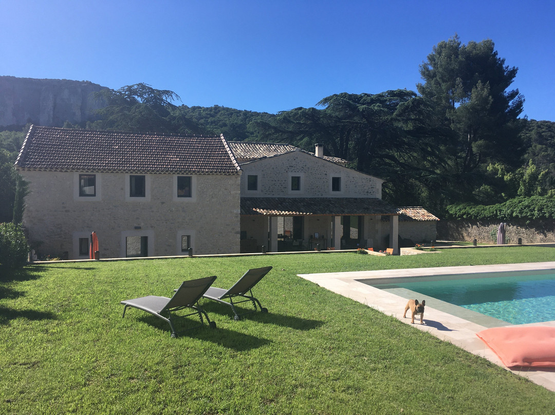 Mas aux Cedres主图