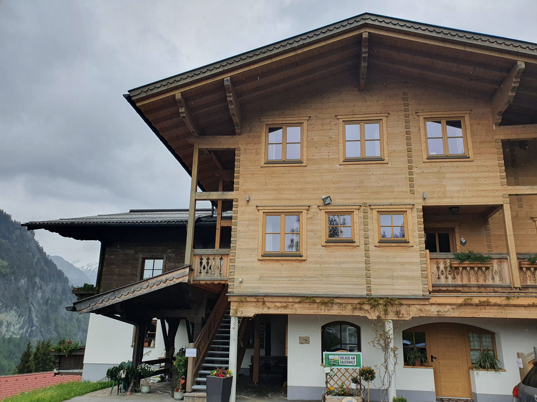 Bauerndorfl Rindereben主图