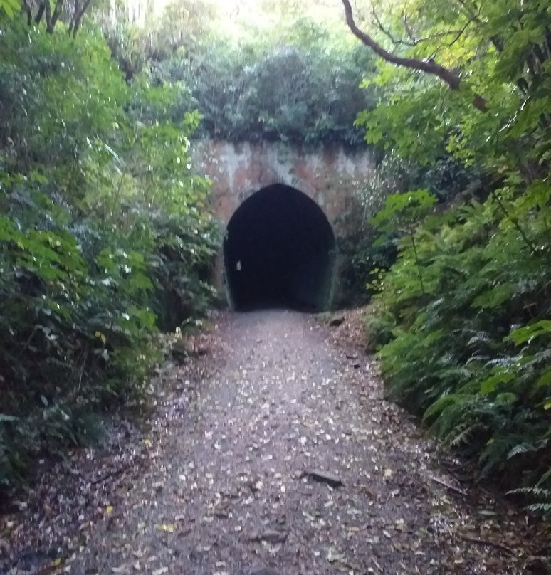 Tunnel Hill景点图片
