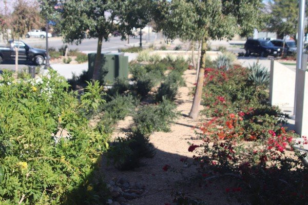 Coachella Veterans Memorial Park-Coachella必去景点